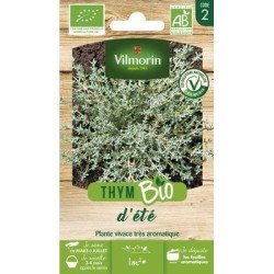 Thym De PROVENCE BIO - VILMORIN