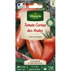 Tomate Cornue des Andes - VILMORIN