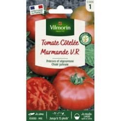 Tomate MARMANDE V.R - VILMORIN