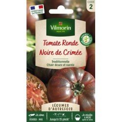 Tomate NOIRE DE CRIMÉE - VILMORIN