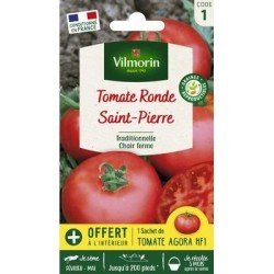 Tomate SAINT PIERRE - VILMORIN