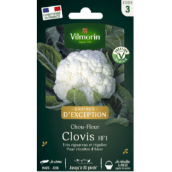 Chou-fleur CLOVIS HF1 - VILMORIN