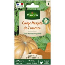 Courge Musquée de Provence - VILMORIN