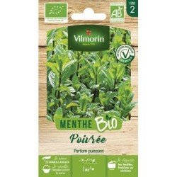 Menthe Poivrée BIO - VILMORIN