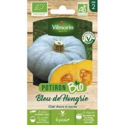 Potiron Bleu de Hongrie BIO - VILMORIN