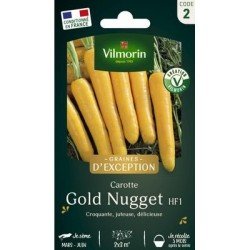 Carotte GOLDNUGGET HF1 - VILMORIN