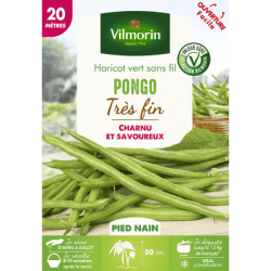 Haricot vert sans fil PONGO - VILMORIN