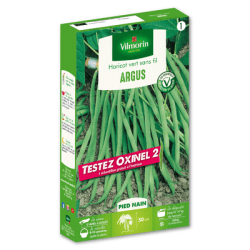 Haricot vert sans fil ARGUS - VILMORIN