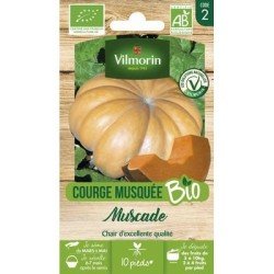 Courge Musquée Muscade BIO - VILMORIN