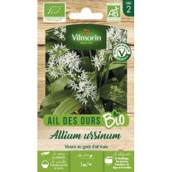 Ail des Ours BIO - VILMORIN