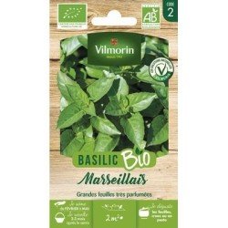 Basilic MARSEILLAIS BIO - VILMORIN