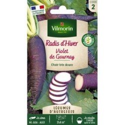 Radis Violet DE GOURNAY - VILMORIN