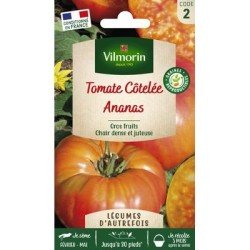 Tomate Côtelée ANANAS - VILMORIN